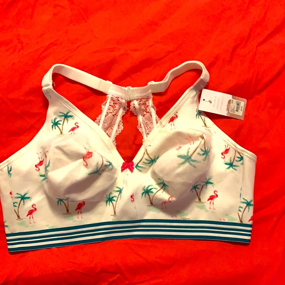 Cacique 42DD NWT Flamingo Bra